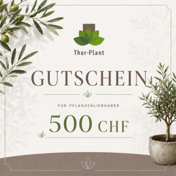 Geschenkgutschein 500 CHF