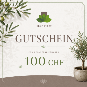 Geschenkgutschein 100 CHF